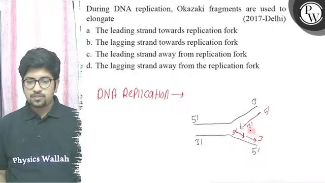 | During DNA Replication, Okazaki Fragments Are Used To Elongate
(2...