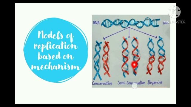 DNA REPLICATION| Models Of Replication| Based On Mechanism|ENZYMES Involved In Replication