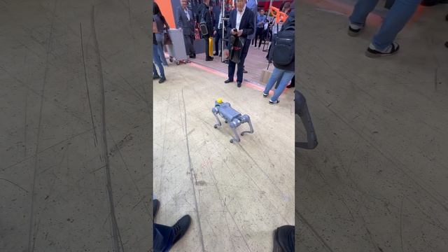 Будущее наступает робот собака или кошка - главное чтобы искусственные интеллект не был как скайнет смотреть онлайн