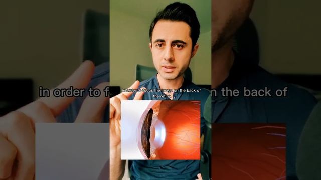 Here's How Your Eye Sees