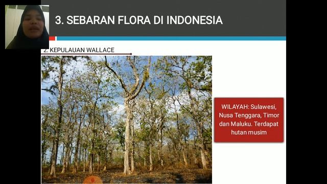 Flora dan fauna 2 xi ips смотреть онлайн