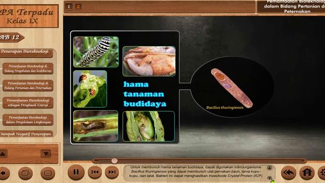 Pemanfaatan Bioteknologi di bidang Pertanian dan Peternakan смотреть онлайн