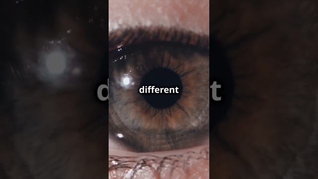 Your Eye Muscles Are Superheroes! #trending #facts смотреть онлайн
