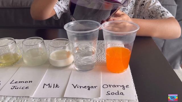 #science Red Cabbage pH indicator science Experiment || Science Experiment for Kids смотреть онлайн