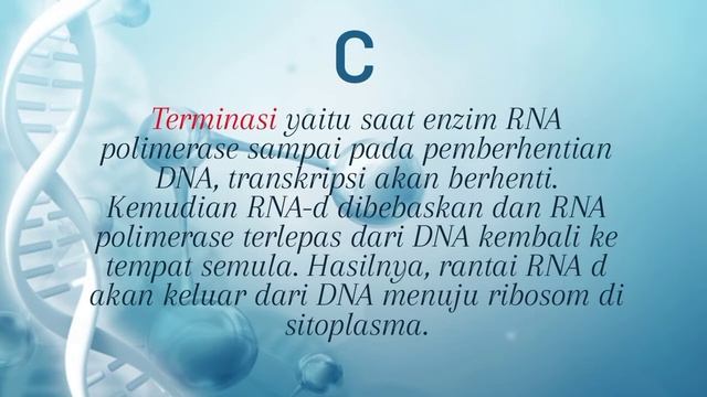 Proses Sintesis Protein: Transkripsi Dan Translasi.