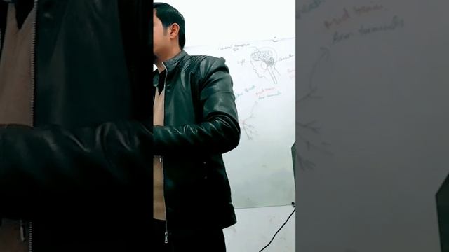 nervous system | nervous system in urdu смотреть онлайн