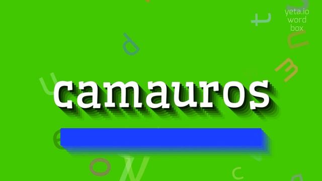 HOW TO PRONOUNCE CAMAUROS? #camauros смотреть онлайн