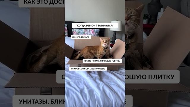 Все для ремонта в одном месте😍Спойлер: не только для ванной #ванная #ремонт смотреть онлайн