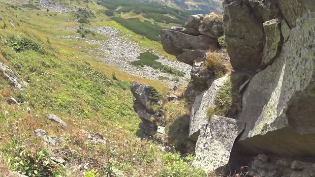 Заквітчана Мандрагора смотреть онлайн
