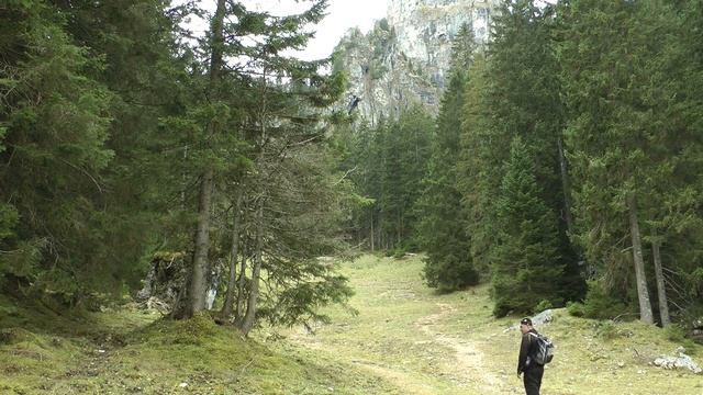 PFRONTEN.Ein gutes Stück heimat.Reichenbachklamm смотреть онлайн