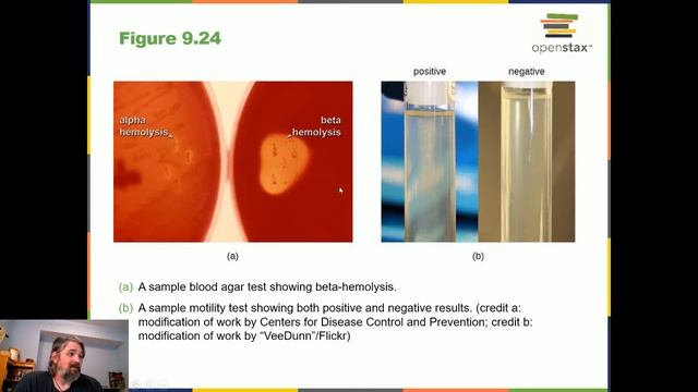 Lecture 2/18 смотреть онлайн