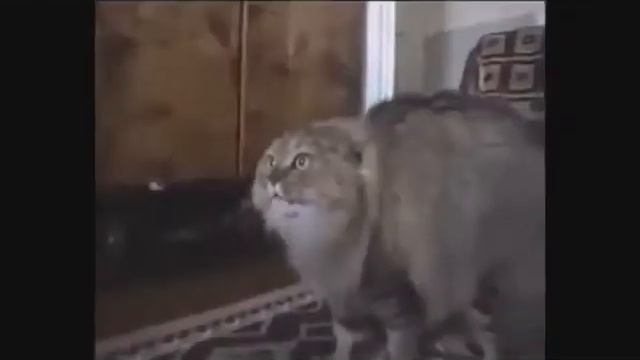 просто ржачь смотреть онлайн
