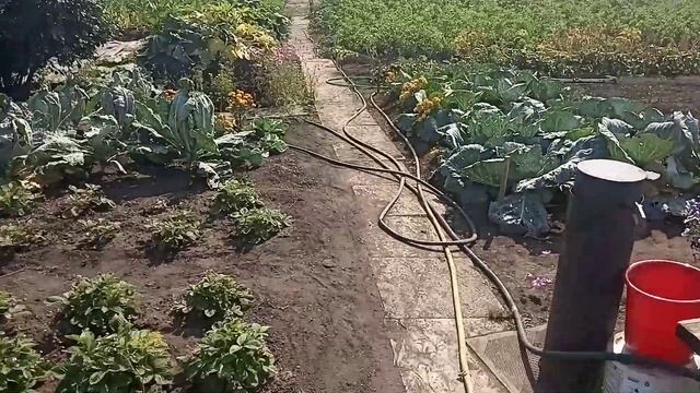 На Урале 21 августа 2021 года небывалая рекордная жара. Видео Нусратуллина Ф.Г. смотреть онлайн