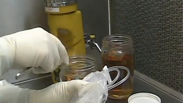 Sterility Testing performed at Nelson Labs смотреть онлайн