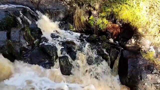 @"Делающий добро"(г... но)! Новый предлог для сбора донатов смотреть онлайн