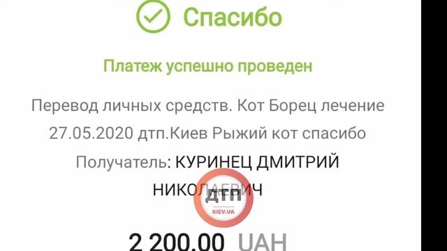Первые шаги после перелома позвоночника: Борец, травмированый Питбулем, прооперирвоан и сегодня вст