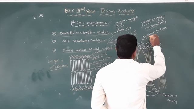 4th sem plasma membrane L-4 смотреть онлайн