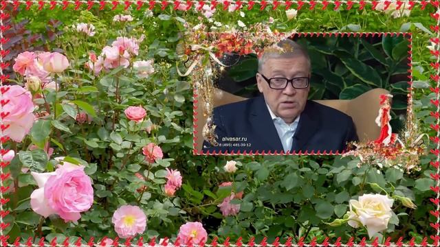 ДНК это текст галограмма смотреть онлайн