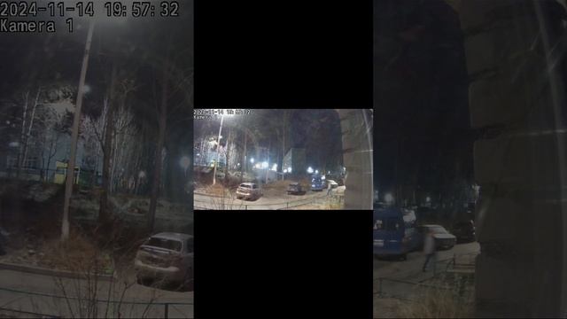 В котэ дерьмодемон