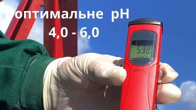 Весняний обробіток озимого ріпаку