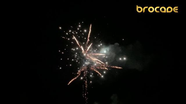 С 509 Brocade tail blast broc.crown king w silver strobe - 4K смотреть онлайн
