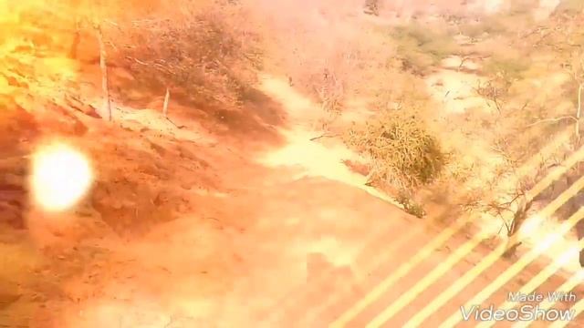 Maharaja man Singh's time temple and water well found in forest of Jaipur смотреть онлайн