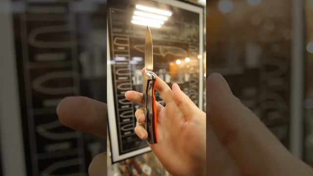 Складной нож Lion Steel T.R.E. смотреть онлайн