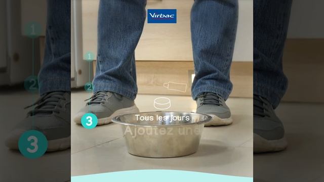Nettoyer les dents de son chien - 3 rituels santé [Tuto] смотреть онлайн