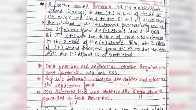#Rolling #circle #replication of #Dna handwritten notes 💯 смотреть онлайн