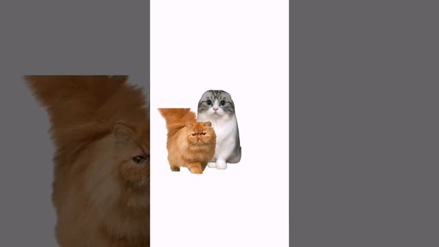 help смотреть онлайн