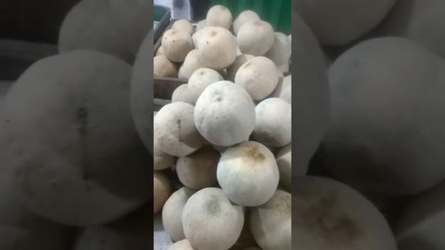 Manfaat Melon untuk Kesehatan Tubuh yang jarang diketahui смотреть онлайн