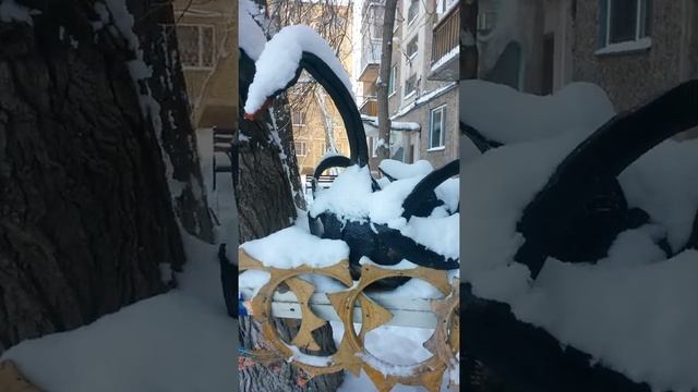 Мишку и чёрного лебедя на 18 мкр занесло снегом - пятый натиск зимы в ноябре 2021 год смотреть онлайн