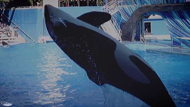 𝐵❀𝓃𝒻𝒾𝓇𝑒 𝐻𝑒𝒶𝓇𝓉 | Happy Birthday Milla🤍