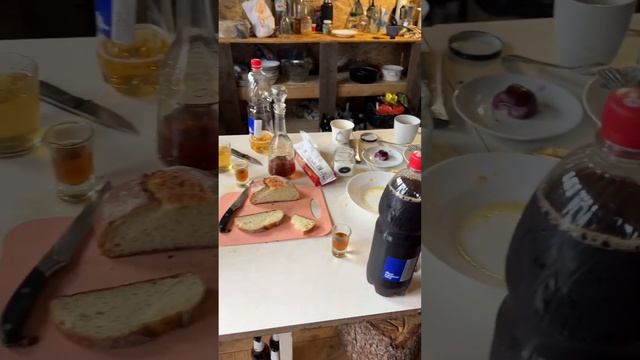 Изба у Мишки или синий болота😂! #охота #охотанагуся #север смотреть онлайн