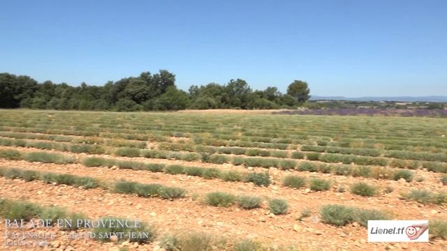 Balade en Provence - Valensole - Grand Saint-Jean - 2021 смотреть онлайн