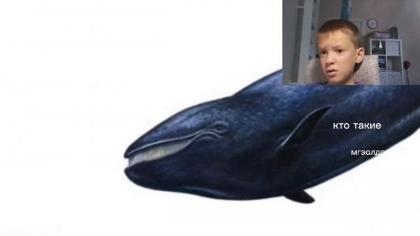 Кто такой мегалодон