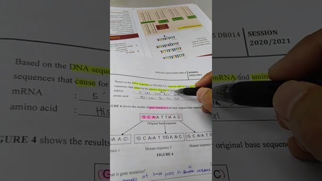 Chapter 6 exercise 1 смотреть онлайн