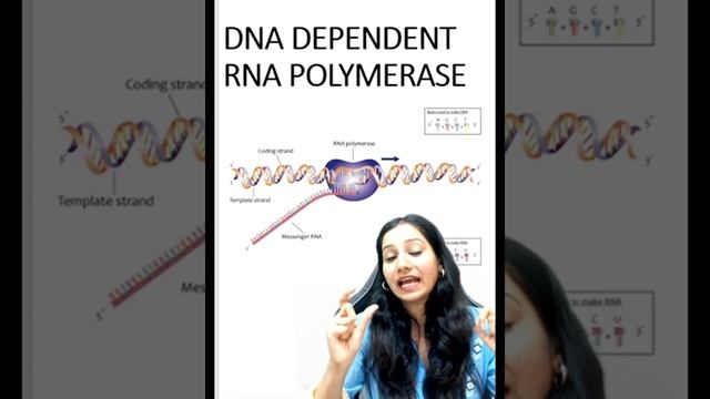 Lets clear basics of Molecular Biology I Molecular Basics of Inheritance I NEET CSIRNET IITJAM GATE смотреть онлайн