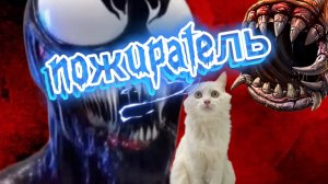 Белкины страшилки 🙀