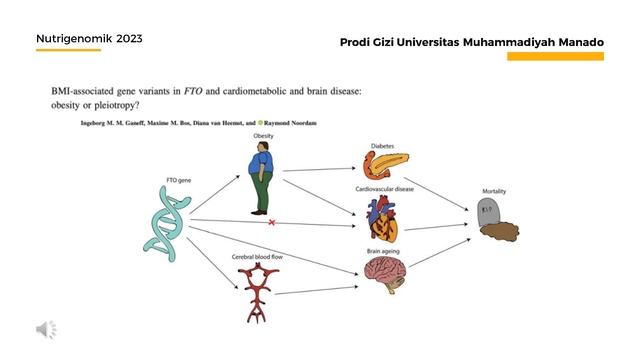 Pemanfaatan Data Genetik untuk Rekomendasi Zat Gizi Protein & Karbohidrat смотреть онлайн