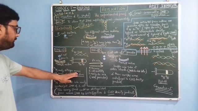 Semi -Conservative DNA Replication || Experimental Proof || Class +2 || NCERT || смотреть онлайн