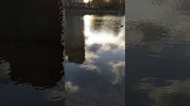 Весна в Подмосковье!! смотреть онлайн