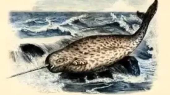 Единорог (Нарвал) смотреть онлайн