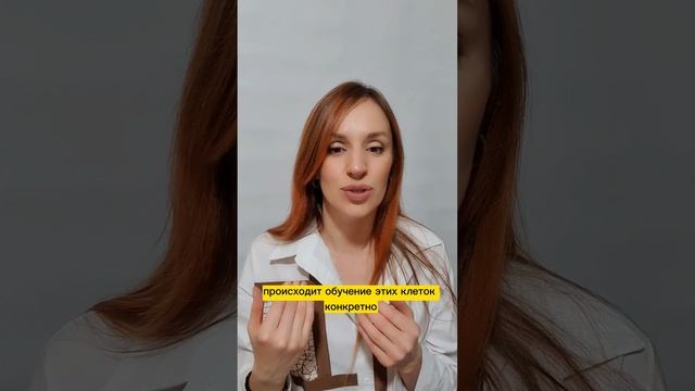Иммунитет и кишечник. Какая связь? смотреть онлайн