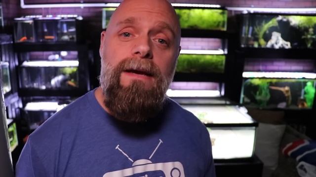 Fish Tank Water Hardness Fully Explained: Don't Kill Your Fish! смотреть онлайн