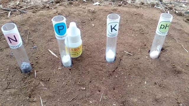 மண் பரிசோதனை செய்வது எப்படி? | N-P-K & Ph test kit смотреть онлайн
