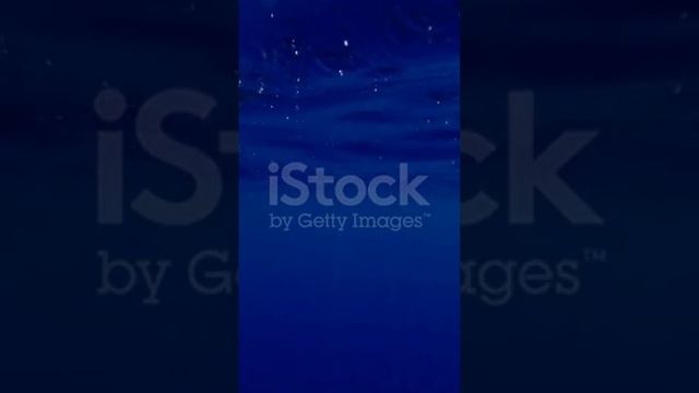 так приятно посмотреть смотреть онлайн