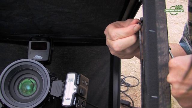 Название: Дикая природа крупным планом / Close-Up Wildlife Photography