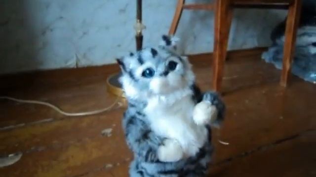 Танцующий кот Васька смотреть онлайн