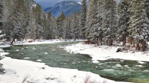 A Mental Vacation Picture Perfect Mountain Scenery Filmed in 4K UHD - White Nois